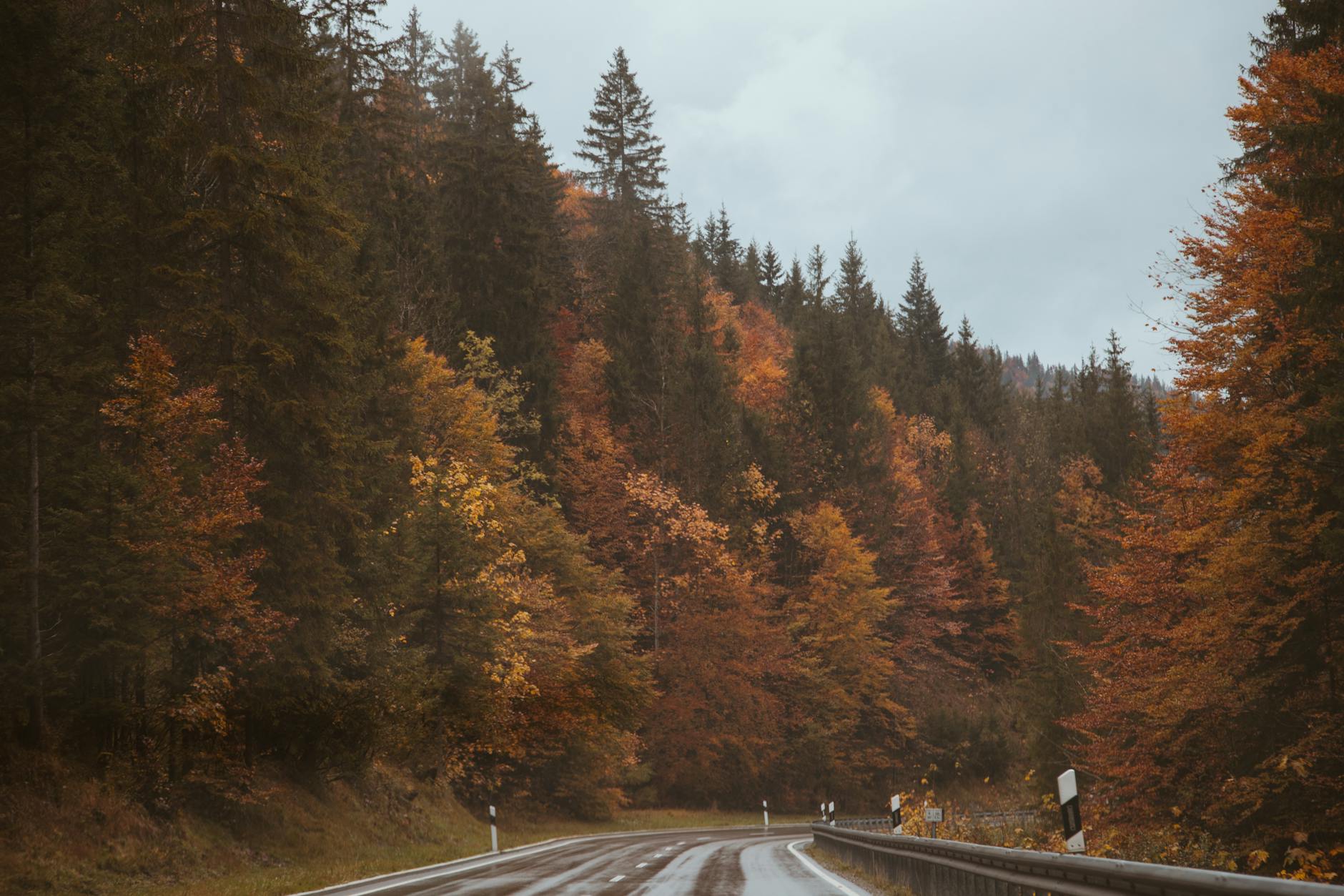 Jesienna górska droga w Tyrolu otoczona kolorowymi drzewami Jesienna górska droga w Tyrolu otoczona kolorowymi drzewami